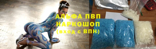СК Краснослободск