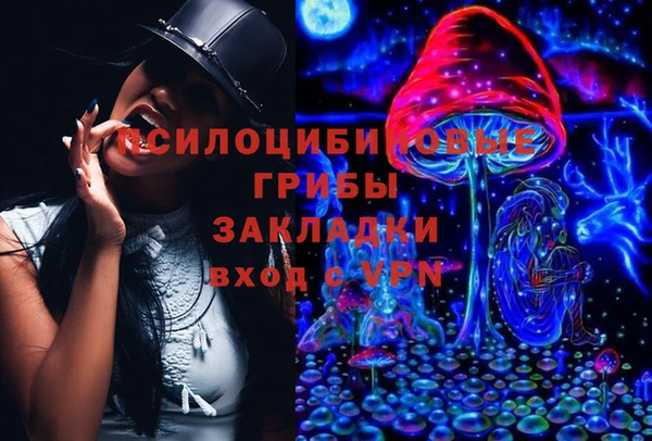 СК Краснослободск